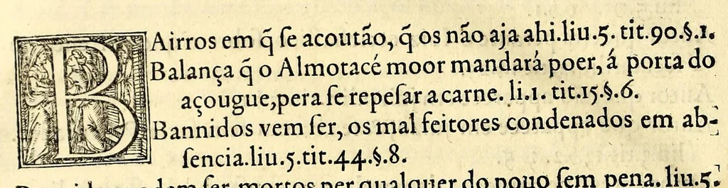 An illustration from Repertorio dos cinquo livros das ordenações com addições das lejs extrauagantes, : dirigido ao muito illustre senhor dom Francisco Coutinho, conde do Redondo, regedor da justiça deste reino., 1560, leaf 28