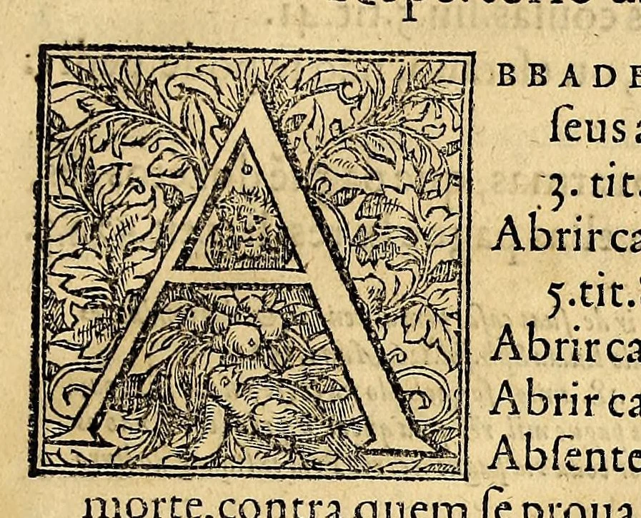 An illustration from Repertorio dos cinquo livros das ordenações com addições das lejs extrauagantes, : dirigido ao muito illustre senhor dom Francisco Coutinho, conde do Redondo, regedor da justiça deste reino., 1560, leaf 9