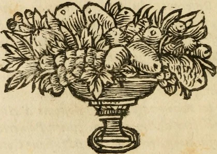 An illustration from Replique de Iean Daille aux deux livres que Messieurs Adam et Cottiby ont publiez contre luy., 1669, leaf 29