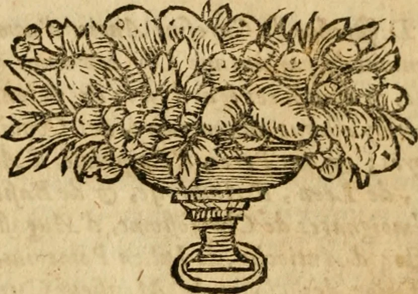 An illustration from Repliqve aux deux livres que Messieurs Adam et Cottiby ont publiez contre luy, 1662, leaf 25