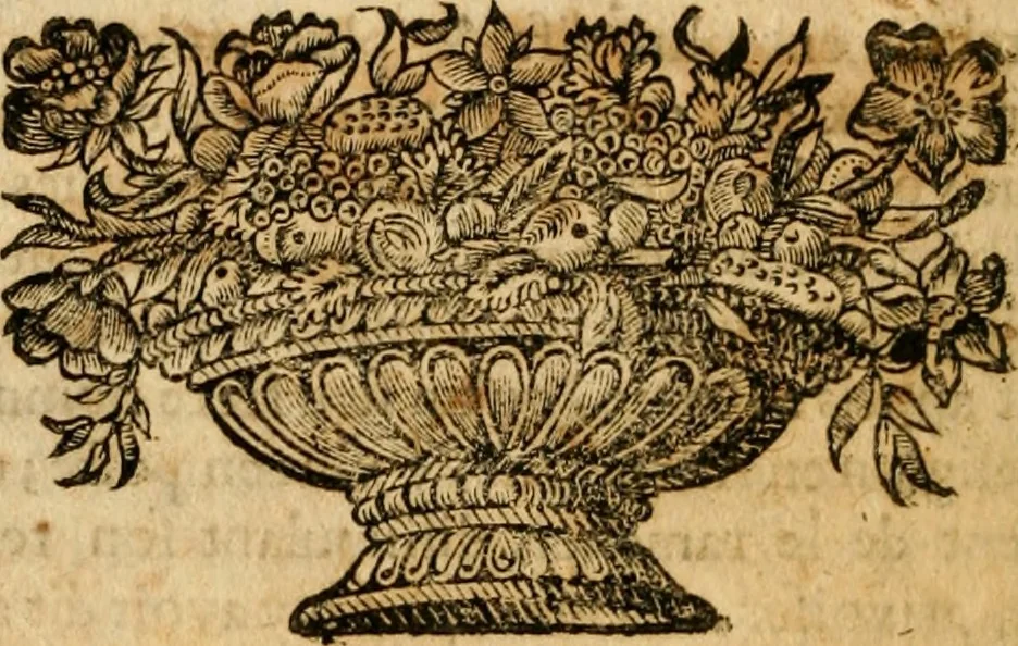 An illustration from Repliqve aux deux livres que Messieurs Adam et Cottiby ont publiez contre luy, 1662, leaf 635