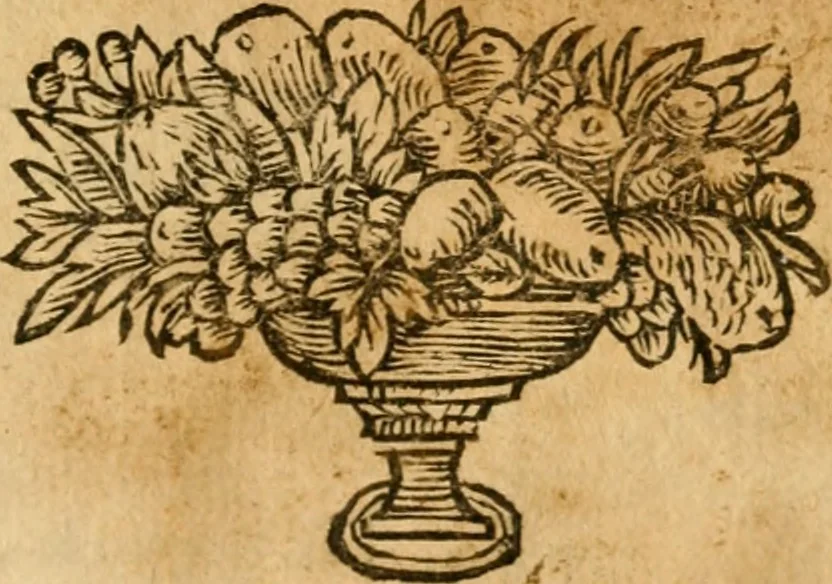 An illustration from Repliqve aux deux livres que Messieurs Adam et Cottiby ont publiez contre luy, 1662, leaf 68
