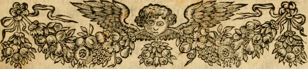An illustration from Repliqve aux deux livres que Messieurs Adam et Cottiby ont publiez contre luy, 1662, leaf 70
