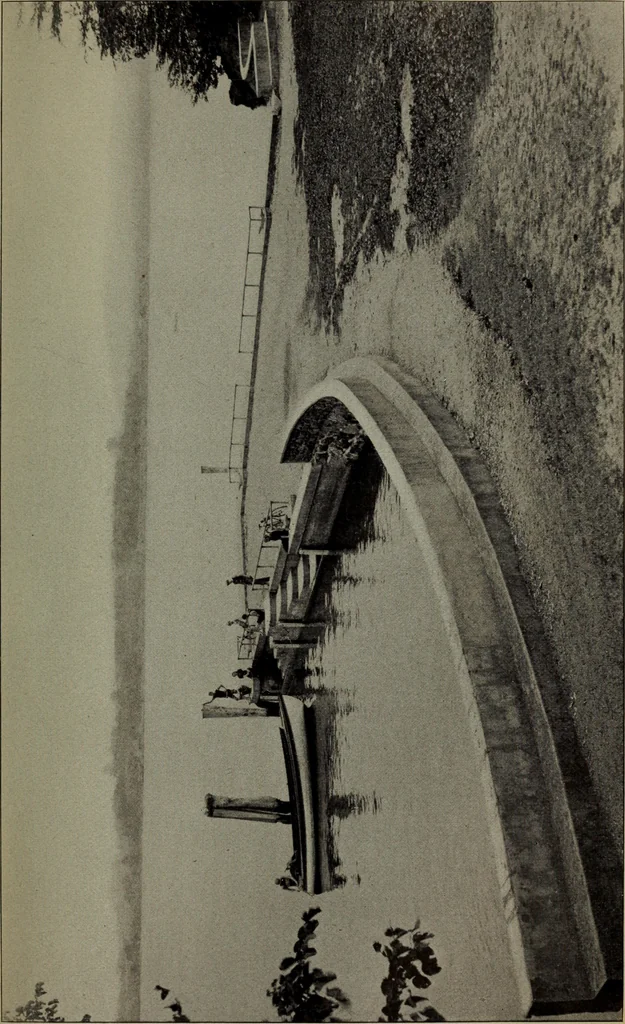 An illustration from Report 1911, 1896, leaf 622