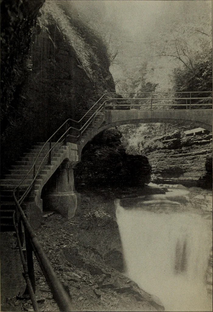 An illustration from Report 1911, 1896, leaf 626
