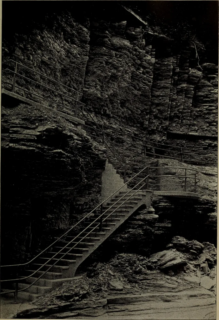 An illustration from Report 1911, 1896, leaf 628