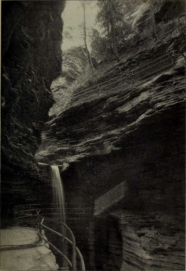An illustration from Report 1911, 1896, leaf 630