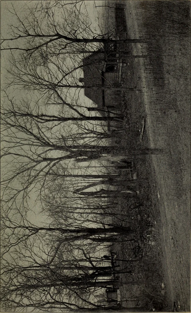 An illustration from Report 1911, 1896, leaf 644