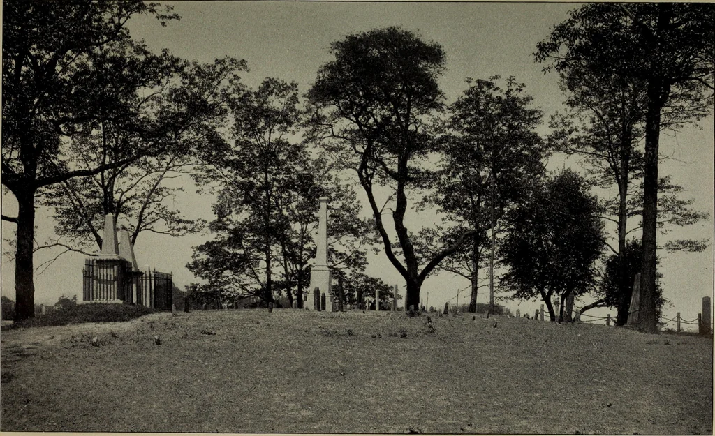 An illustration from Report 1911, 1896, leaf 646