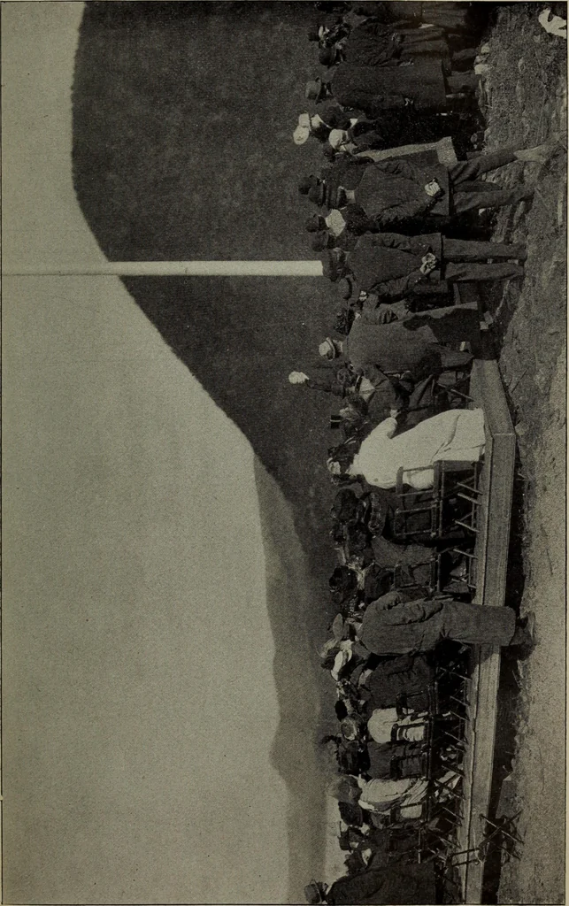 An illustration from Report 1911, 1896, leaf 648
