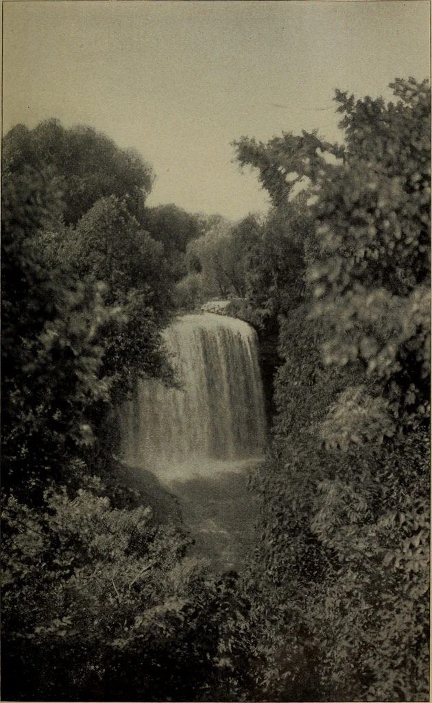 An illustration from Report 1911, 1896, leaf 652