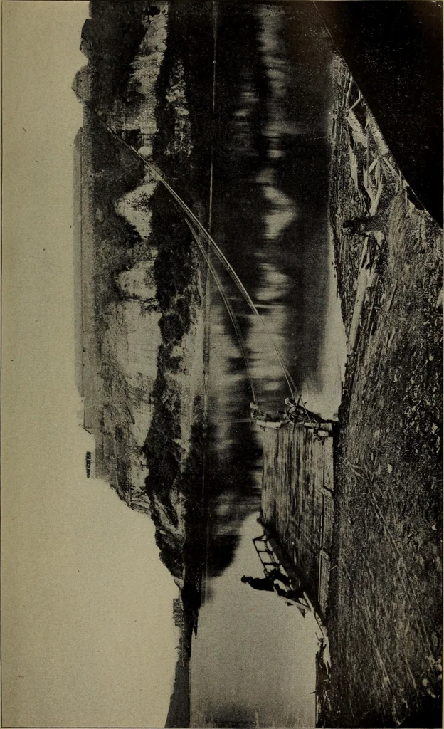 An illustration from Report 1911, 1896, leaf 656