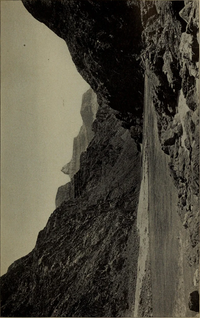 An illustration from Report 1911, 1896, leaf 658
