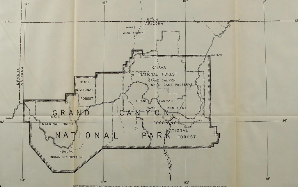 An illustration from Report 1911, 1896, leaf 664