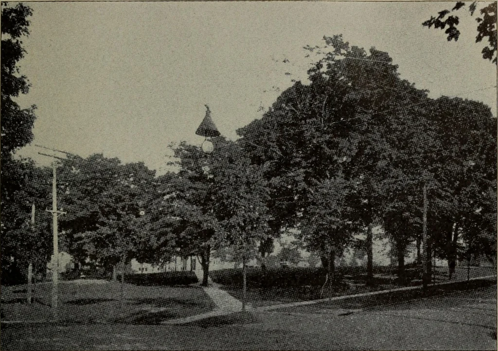 An illustration from Report 1911, 1896, leaf 688