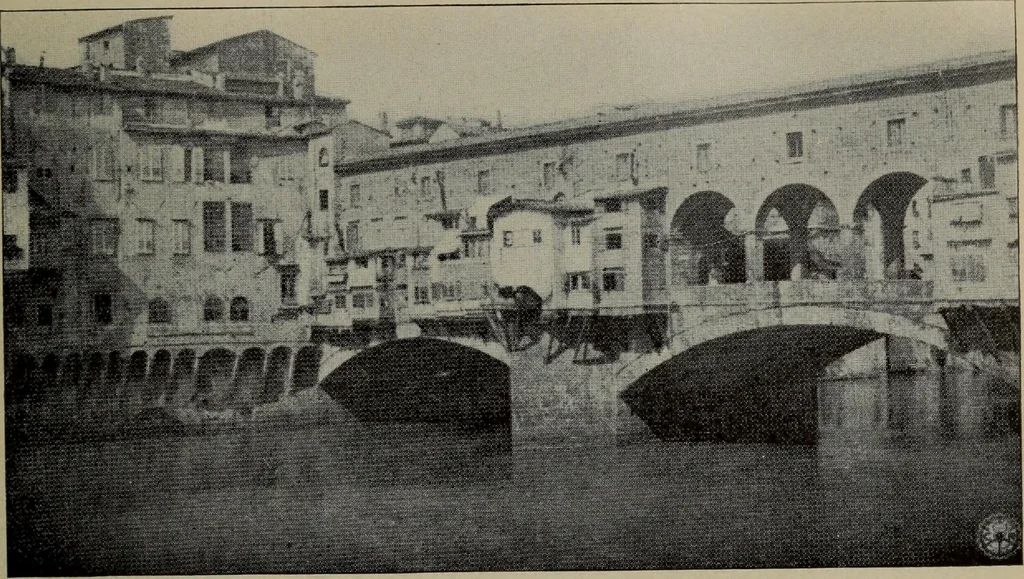 An illustration from Report 1911, 1896, leaf 690