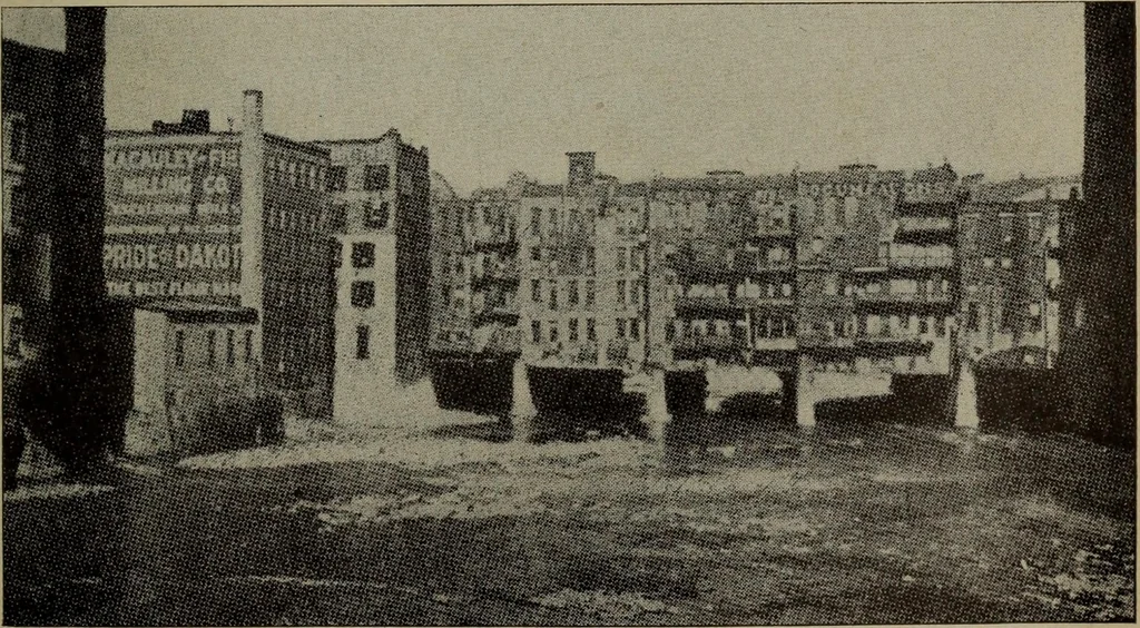 An illustration from Report 1911, 1896, leaf 690