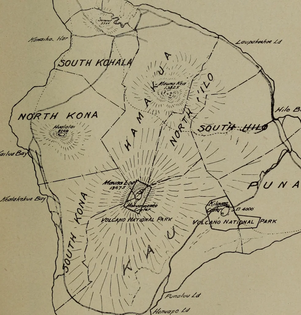 An illustration from Report 1911, 1896, leaf 696
