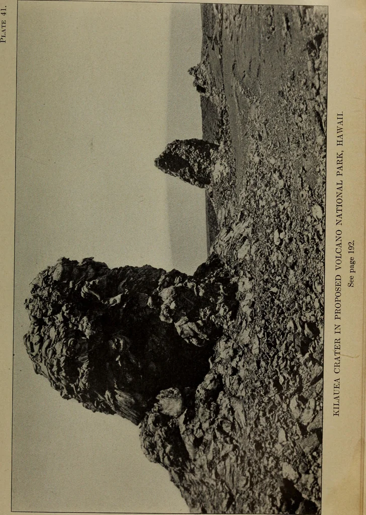 An illustration from Report 1911, 1896, leaf 700