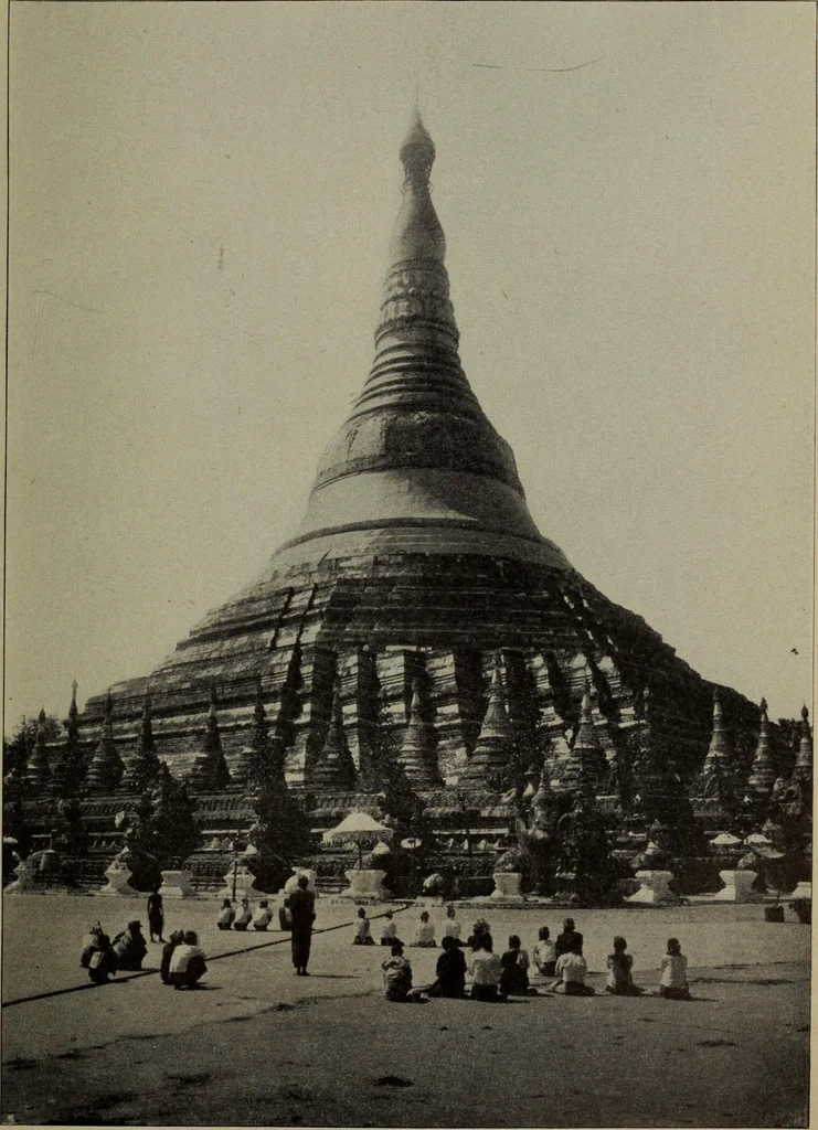 An illustration from Report 1911, 1896, leaf 710