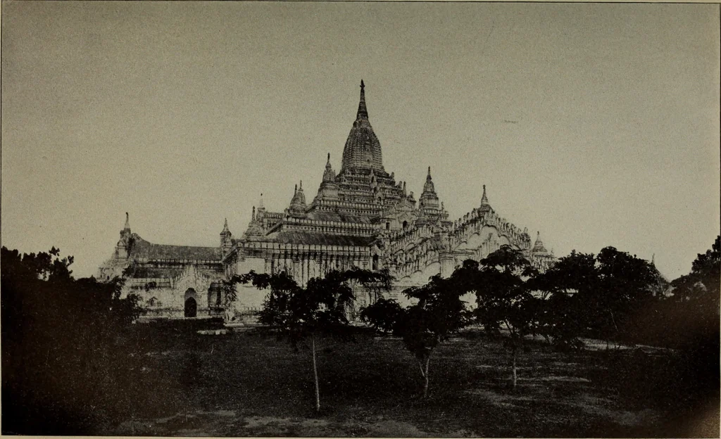 An illustration from Report 1911, 1896, leaf 712