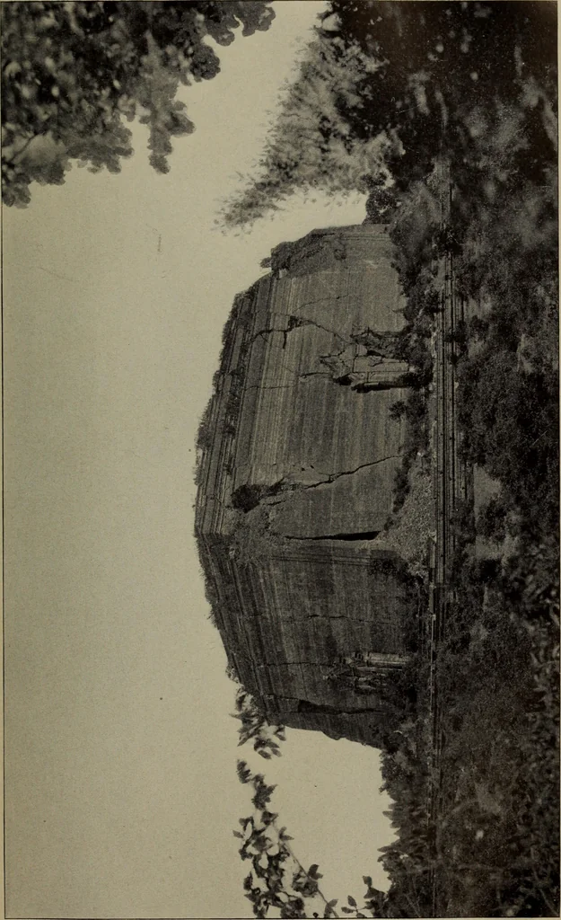 An illustration from Report 1911, 1896, leaf 714