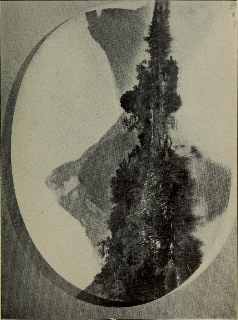 An illustration from Report 1911, 1896, leaf 724