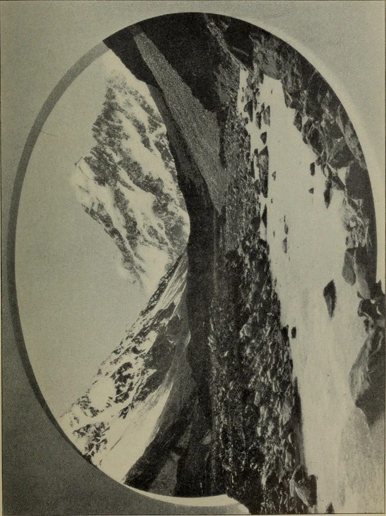 An illustration from Report 1911, 1896, leaf 728
