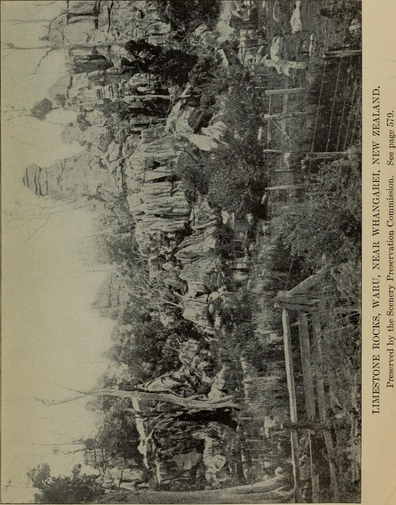 An illustration from Report 1911, 1896, leaf 732