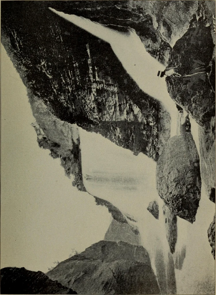An illustration from Report 1911, 1896, leaf 734