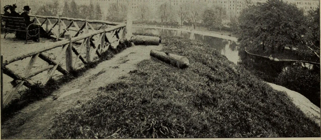 An illustration from Report 1911, 1896, leaf 740