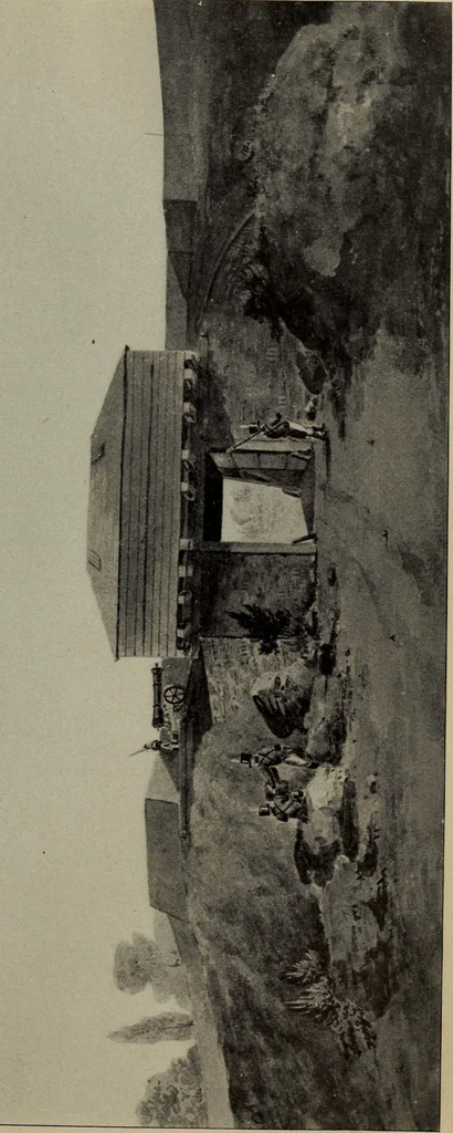 An illustration from Report 1911, 1896, leaf 748