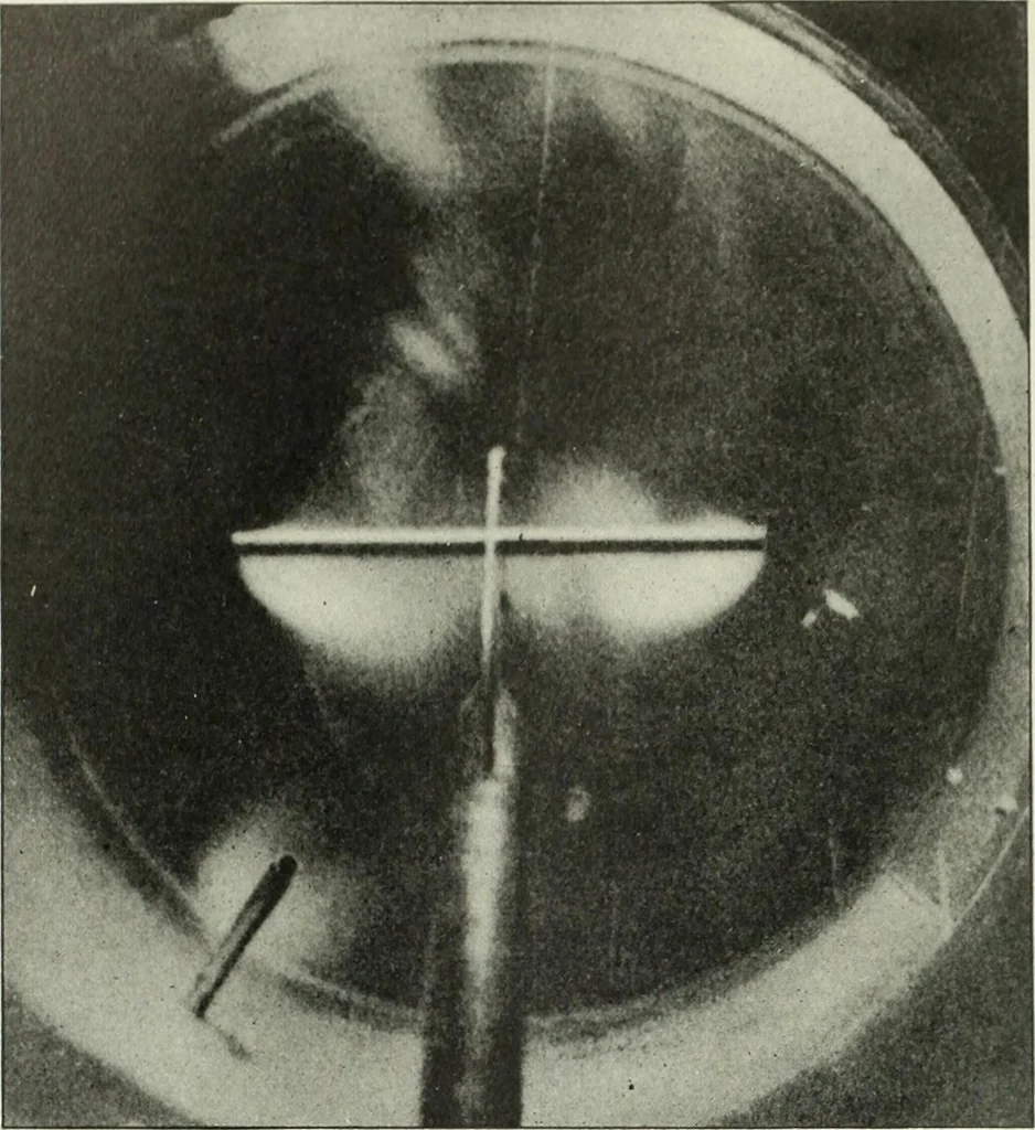 An illustration from Report, 1915, leaf 101