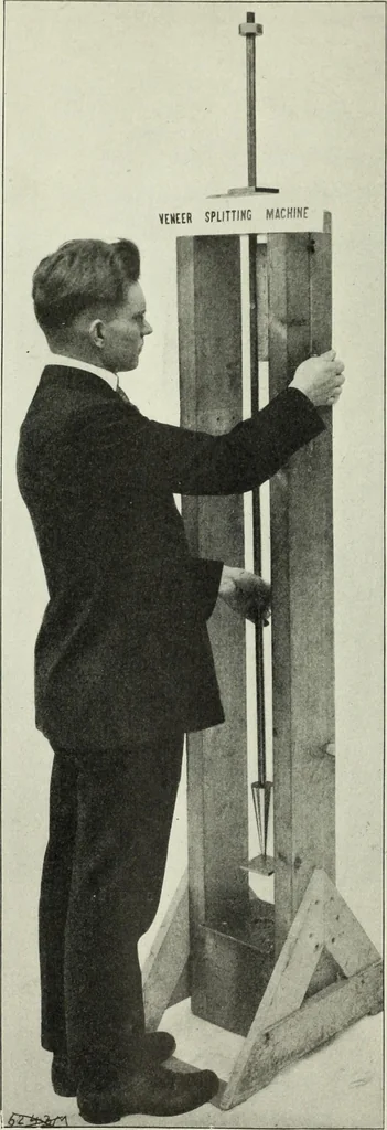 An illustration from Report, 1915, leaf 129