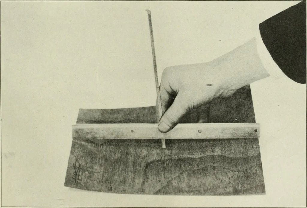 An illustration from Report, 1915, leaf 130