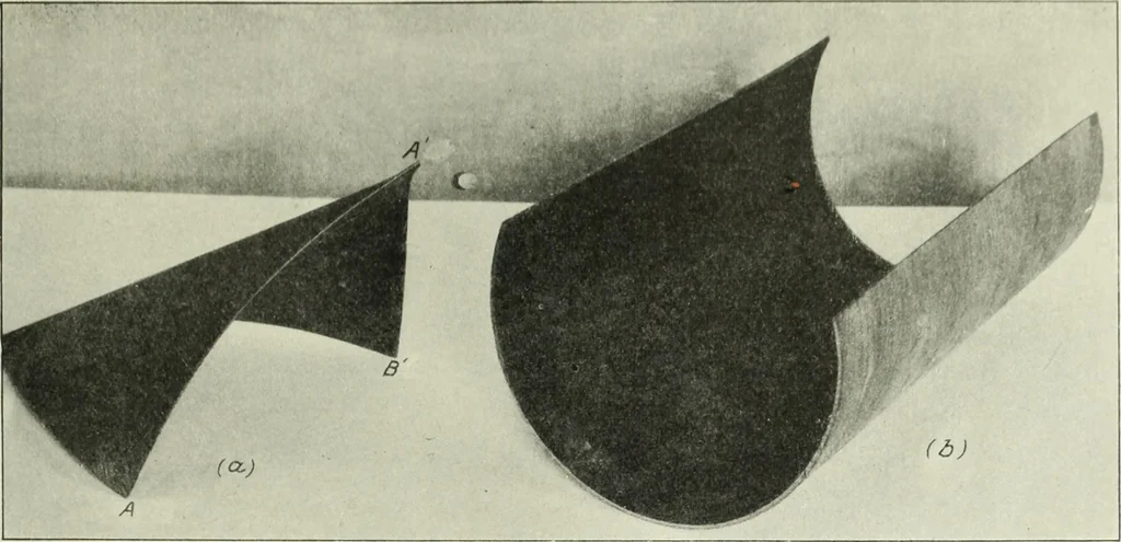 An illustration from Report, 1915, leaf 134