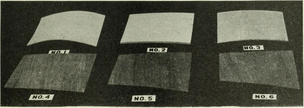An illustration from Report, 1915, leaf 134