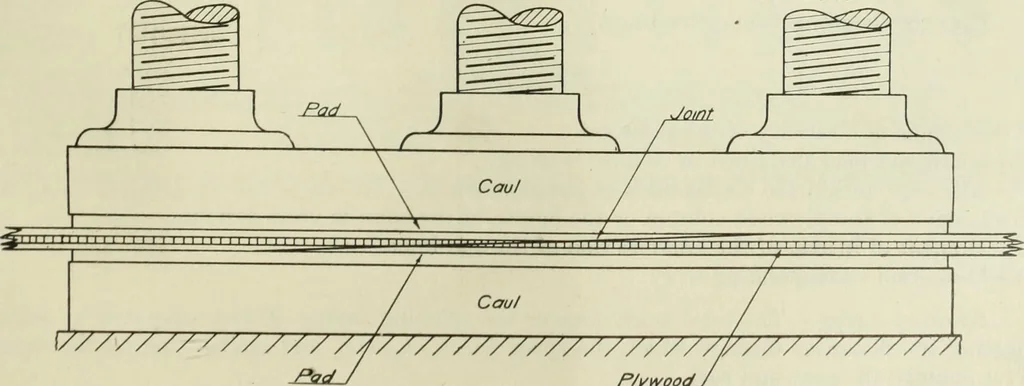 An illustration from Report, 1915, leaf 140