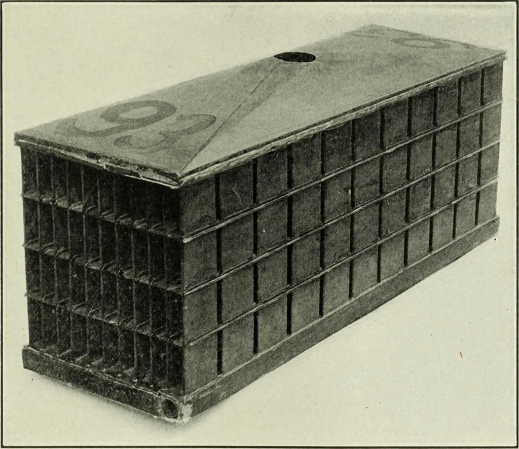 An illustration from Report, 1915, leaf 168