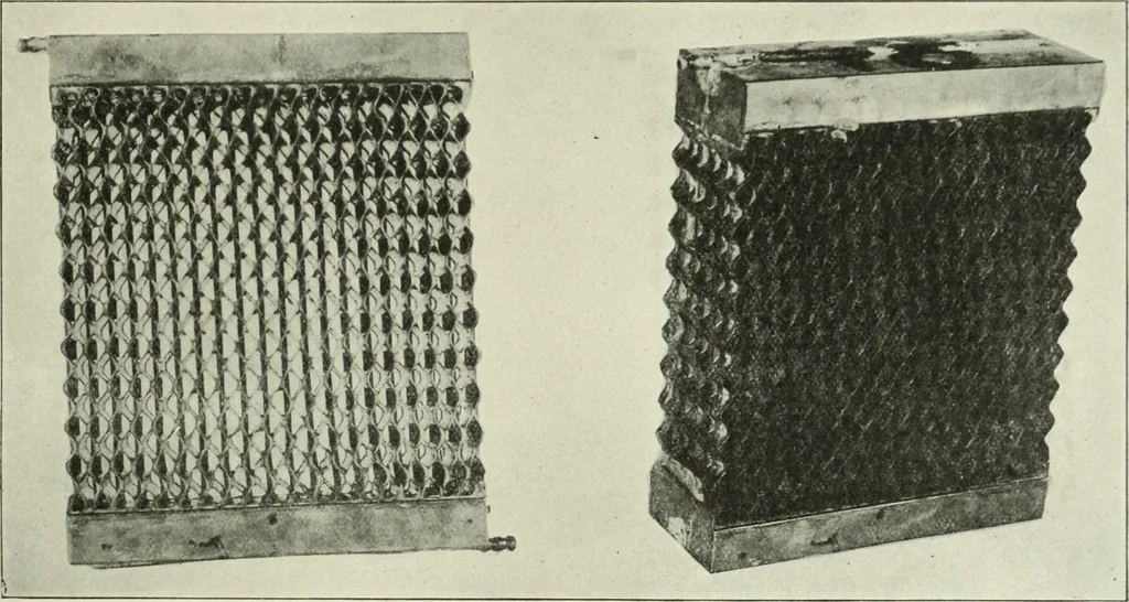 An illustration from Report, 1915, leaf 198