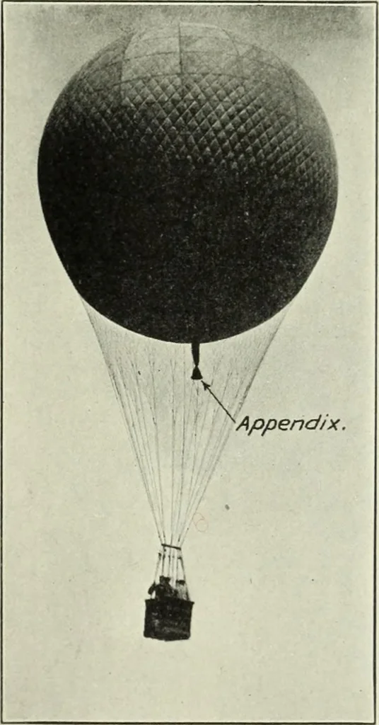 An illustration from Report, 1915, leaf 266