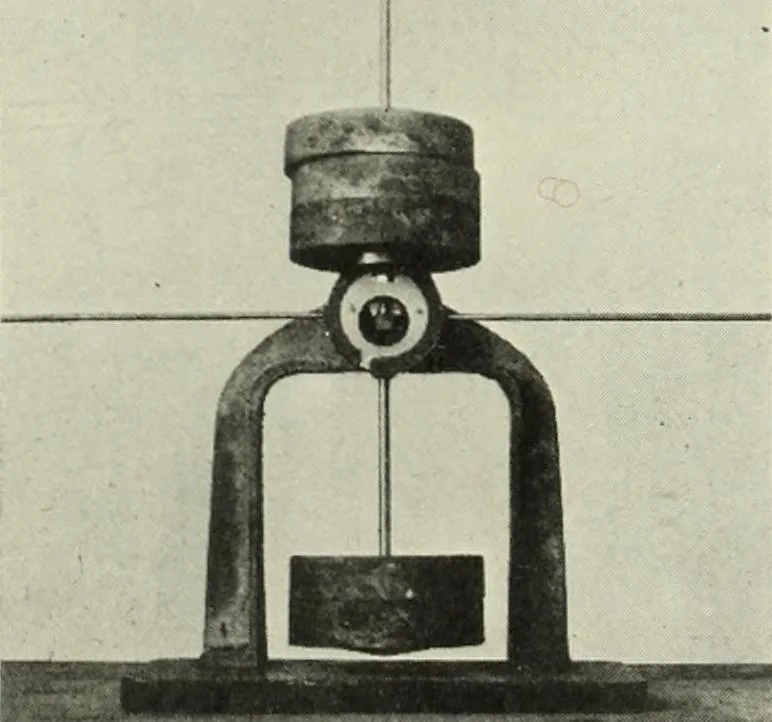An illustration from Report, 1915, leaf 376