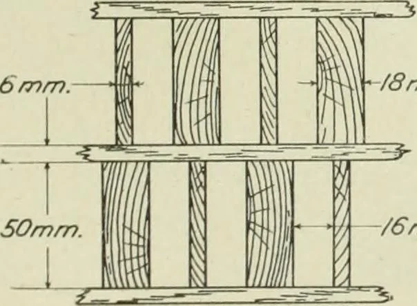 An illustration from Report, 1915, leaf 516