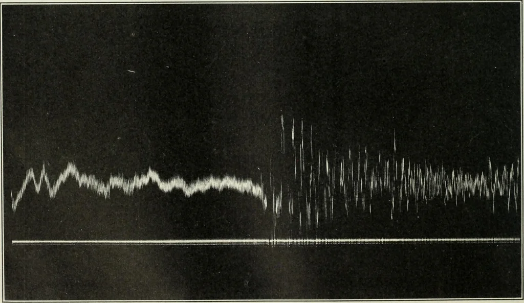An illustration from Report, 1915, leaf 527