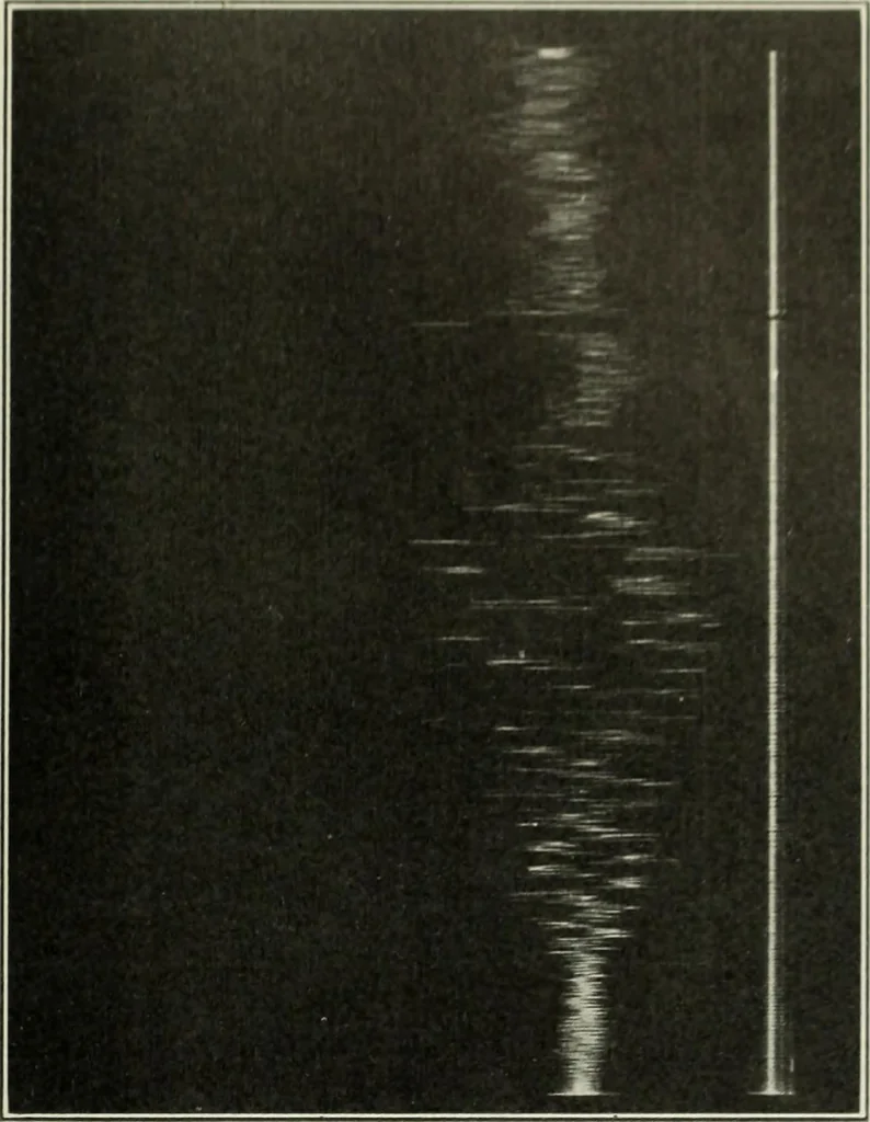 An illustration from Report, 1915, leaf 528