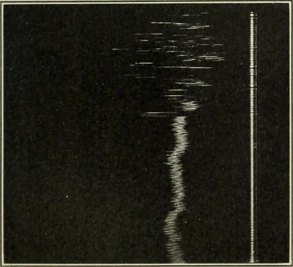 An illustration from Report, 1915, leaf 528