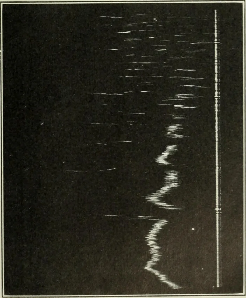 An illustration from Report, 1915, leaf 528