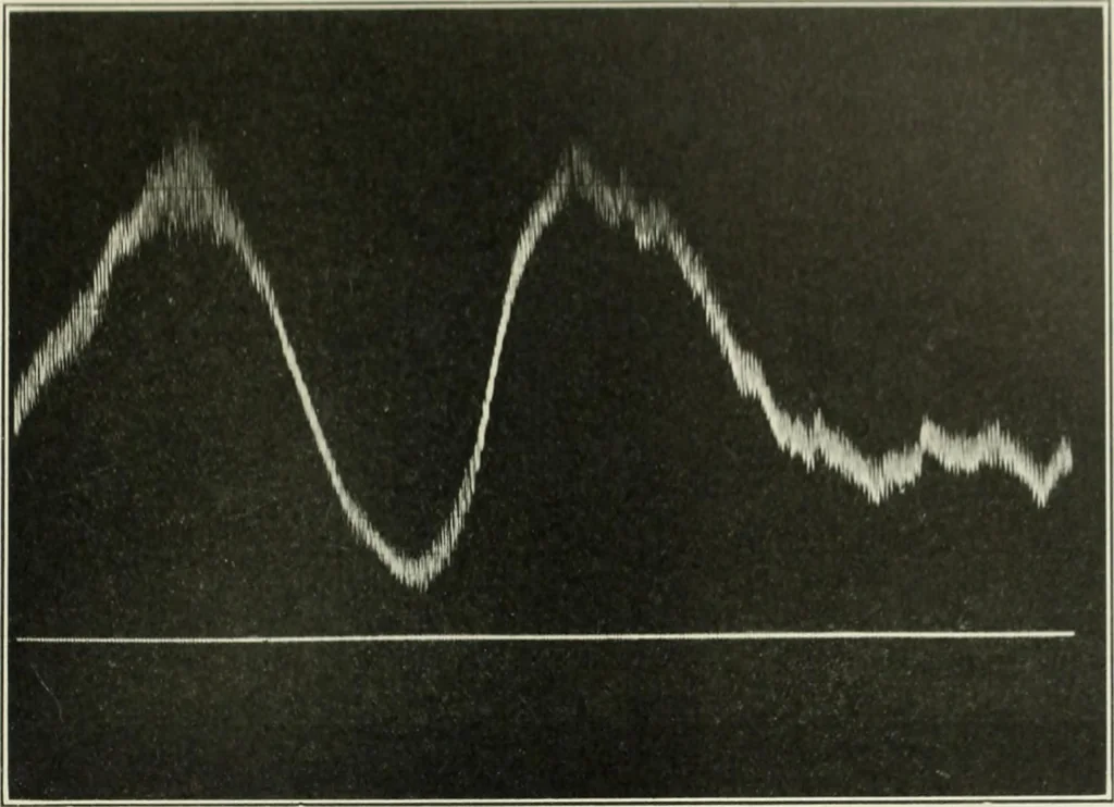An illustration from Report, 1915, leaf 532