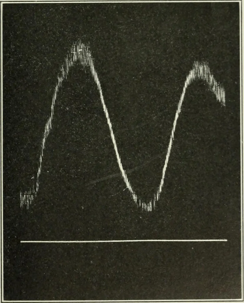 An illustration from Report, 1915, leaf 532