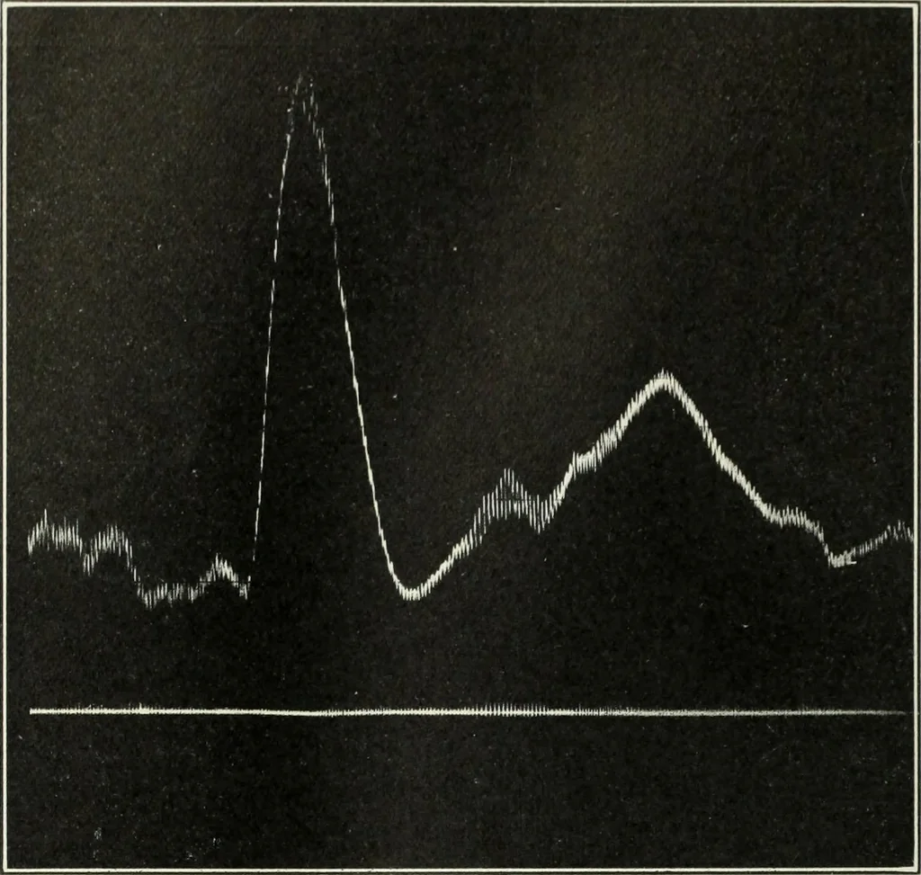 An illustration from Report, 1915, leaf 533